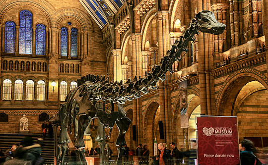 Natural History Museum